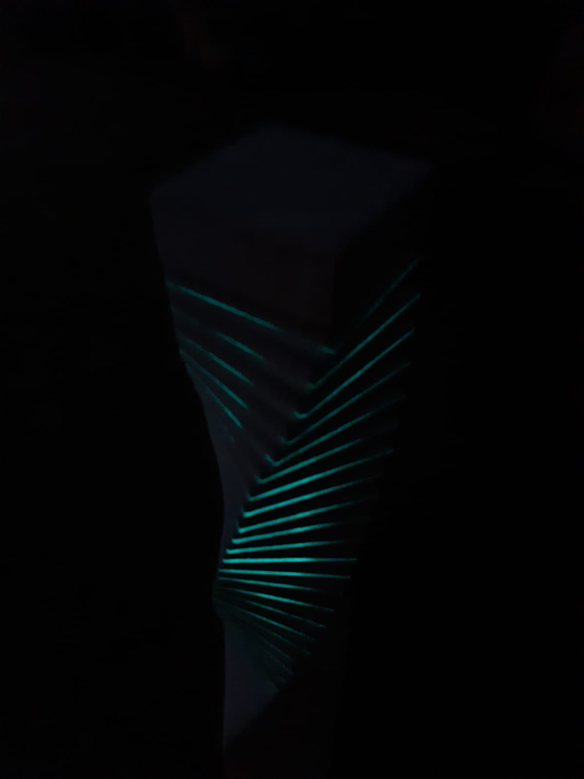CD Stand Night