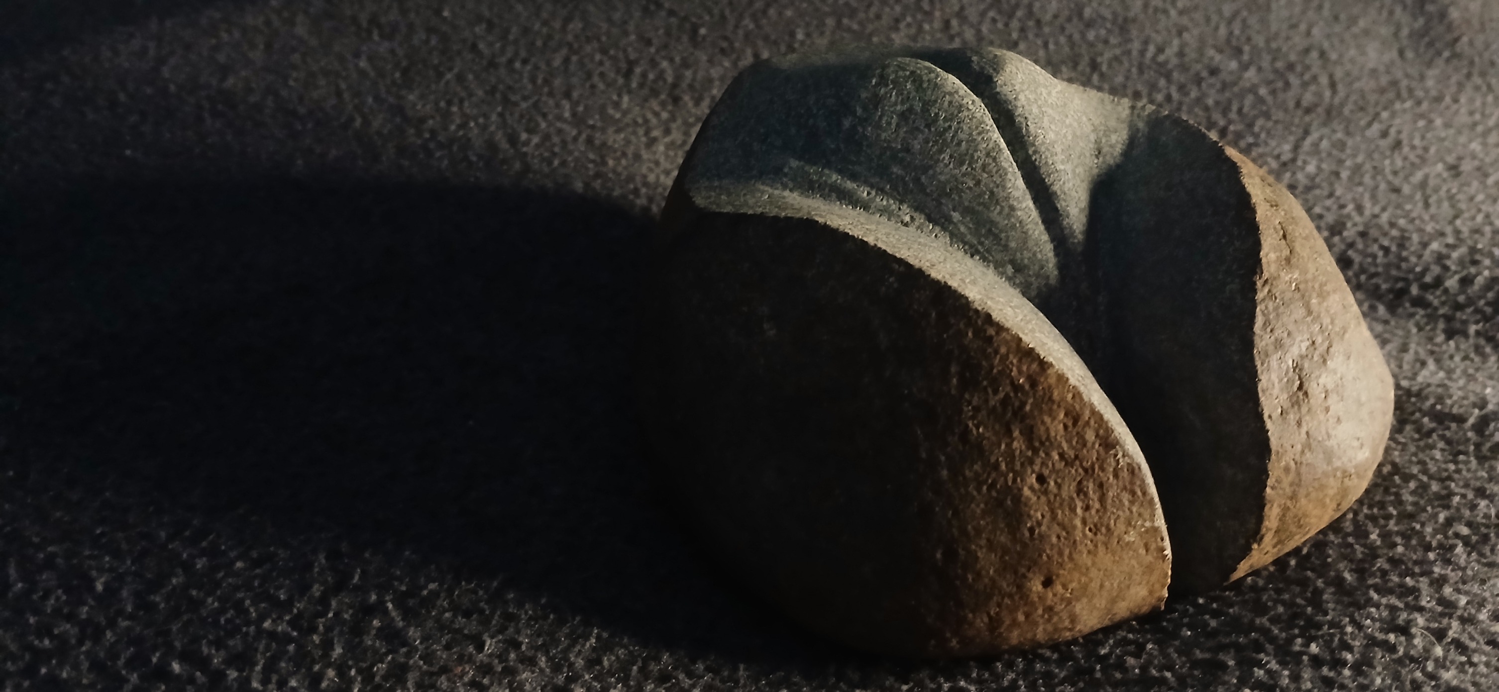Vulva