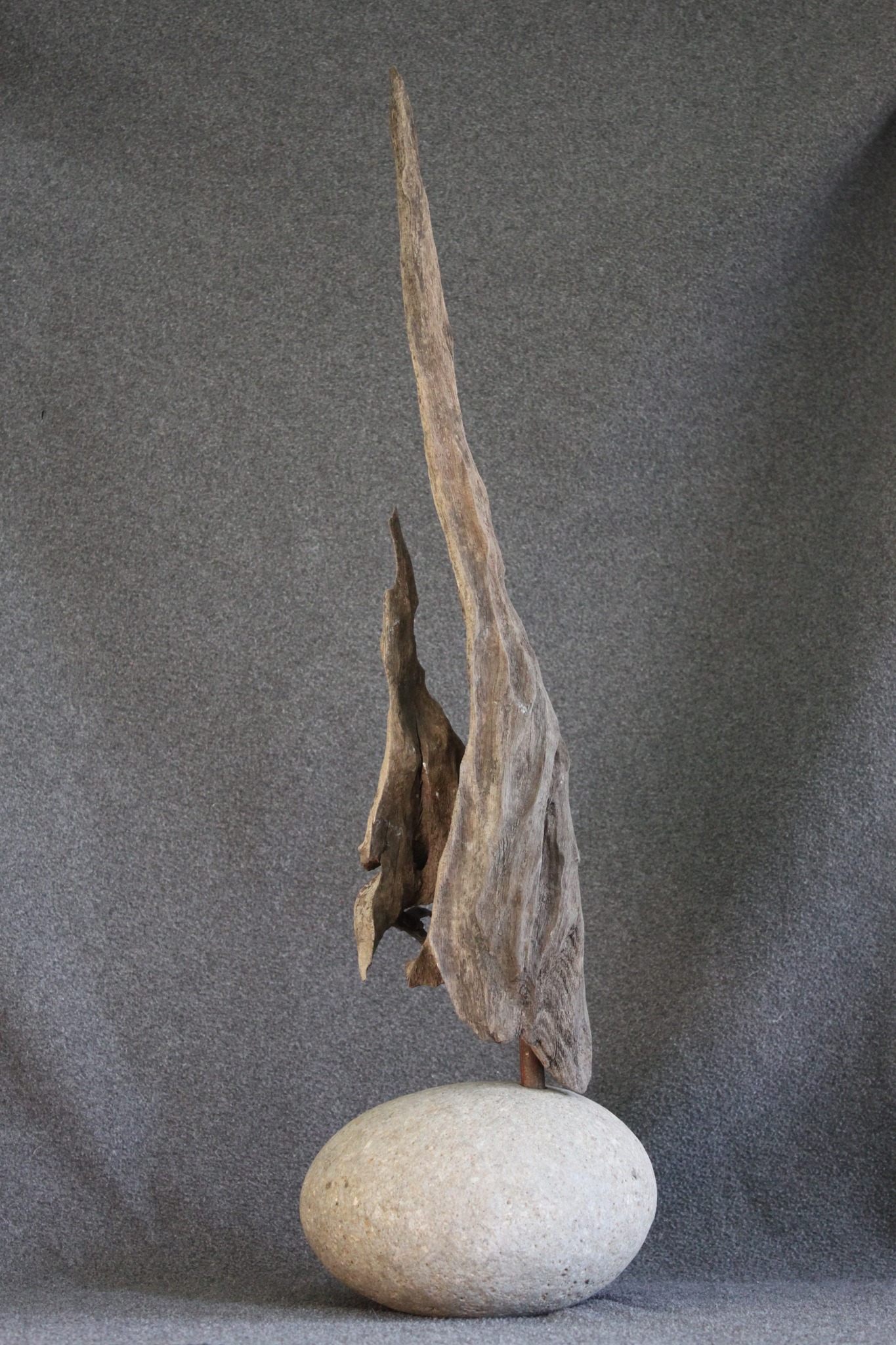 Wood in Stone